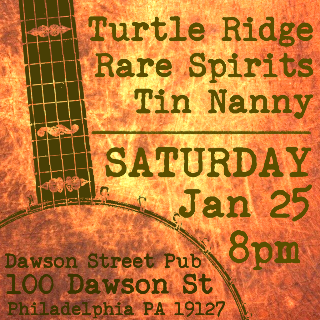 January gig: Dawson Street Pub